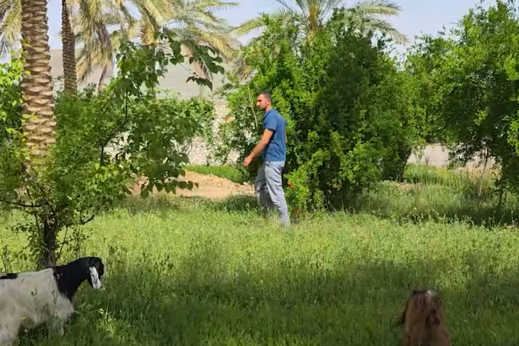 مؤسسة آشور العراقية، تنفذ قصة نجاح لأحد العوائل العائدة من مخيمات النزوح، في قضاء هيت بمحافظة الأنبار