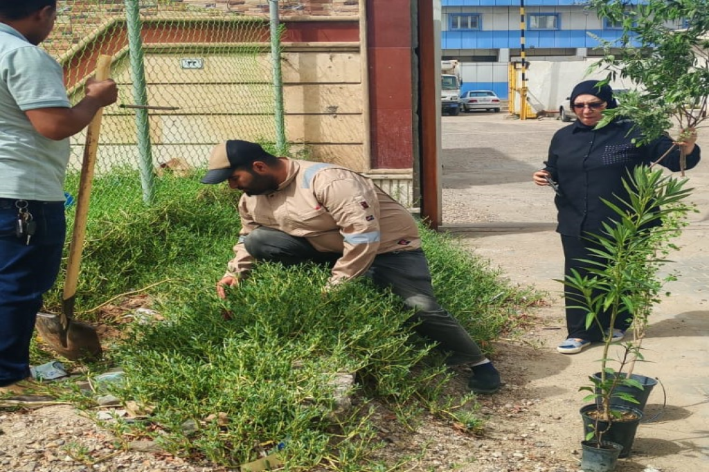 اللجنة الفرعية في محافظة البصرة تنظم حملة تشجير لدعم البيئة وتحسين الأجواء المحيطة